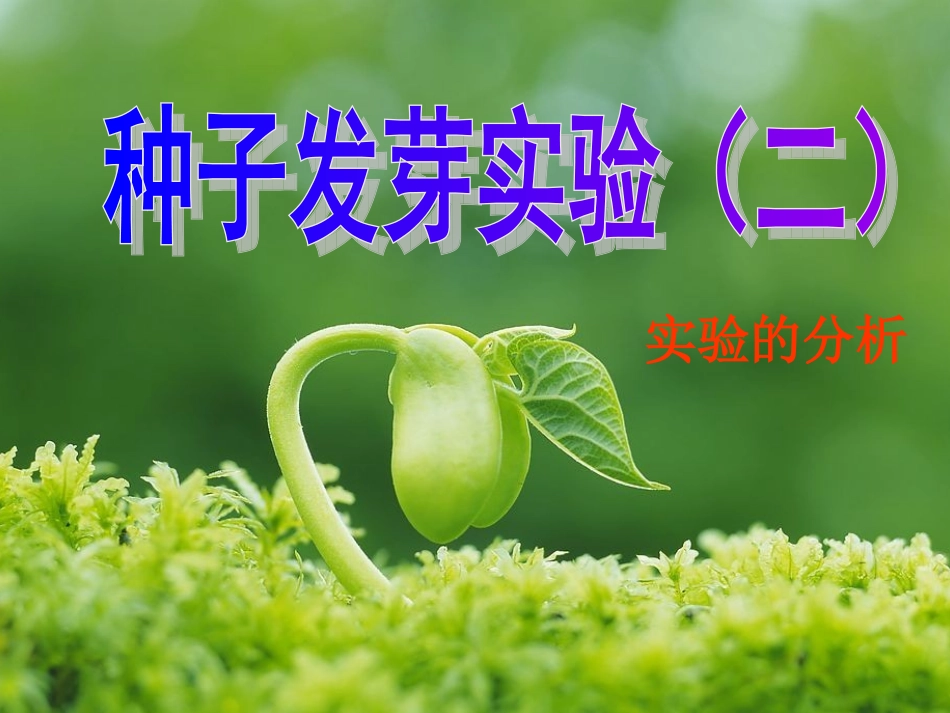 种子发芽实验(二)_第1页