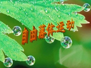 第一节探究自由落体运动-(8)