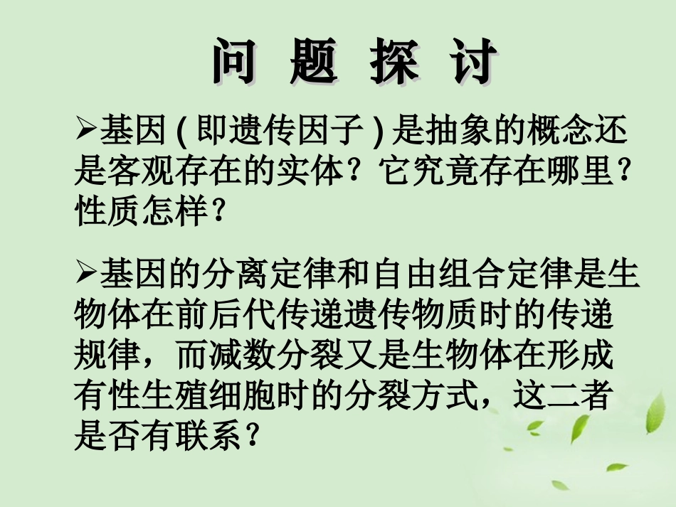 高中生物-2.2《遗传的染色体学说》课件-浙科版必修2_第2页