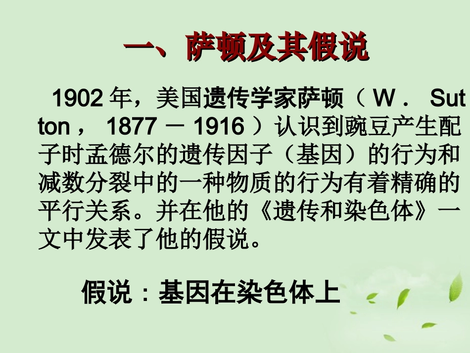 高中生物-2.2《遗传的染色体学说》课件-浙科版必修2_第3页