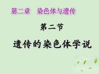 高中生物-2.2《遗传的染色体学说》课件-浙科版必修2