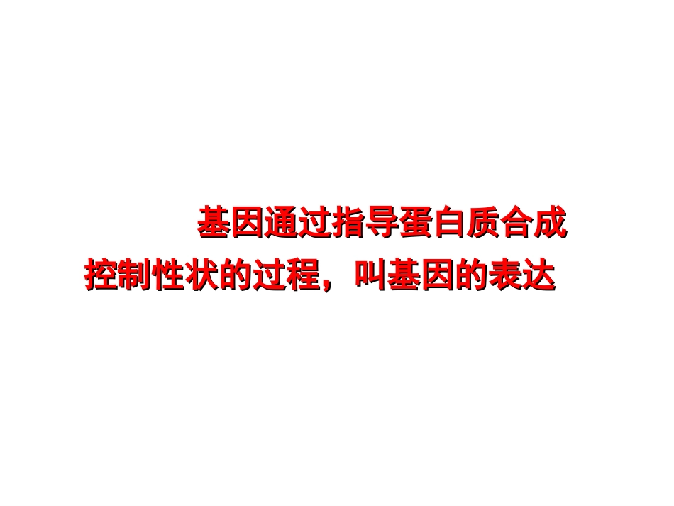 一基因控制蛋白质的合成_第2页