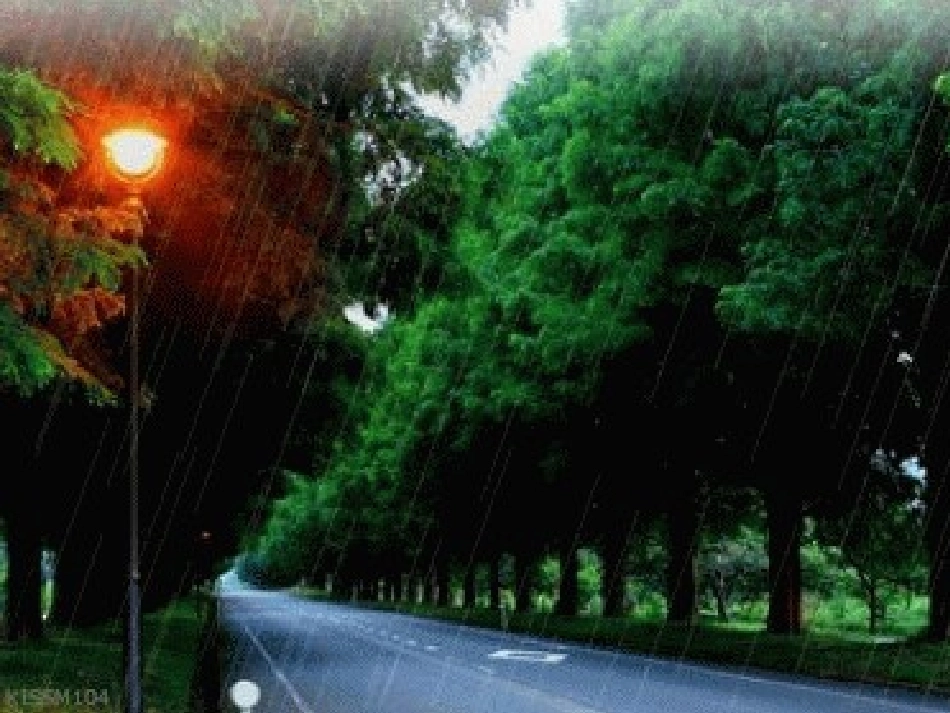 《雨说——为生活在中国大地上的儿童而歌》课件1_第3页