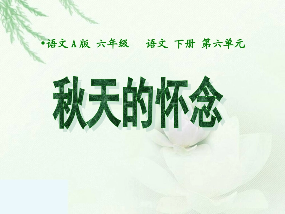 110秋天的怀念1_第1页