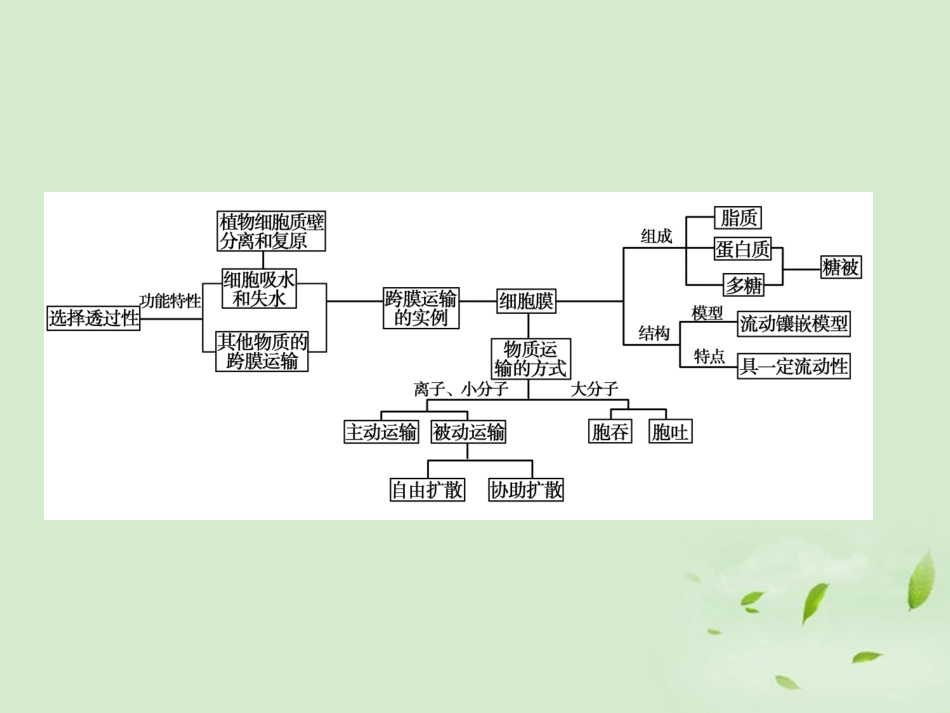 【立体设计】2012高考生物-第1讲-物质跨膜运输的实例知识研习课件-新人教版必修1_第2页