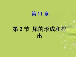 七年级生物下册-第11章-人体废物的排出第2节尿的形成与排出课件-北师大版