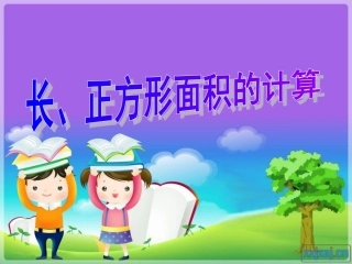 (新)长方形面积的计算