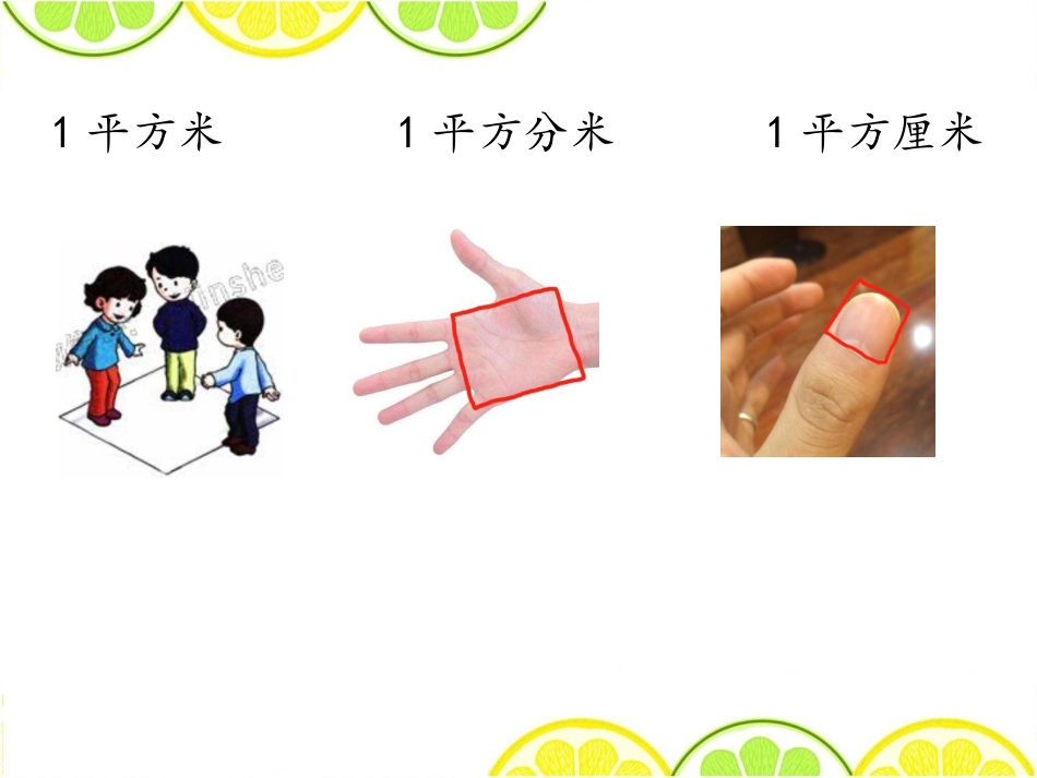 周长和面积的综合复习_第3页