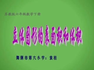6、立体图形的表面积和体积(1)