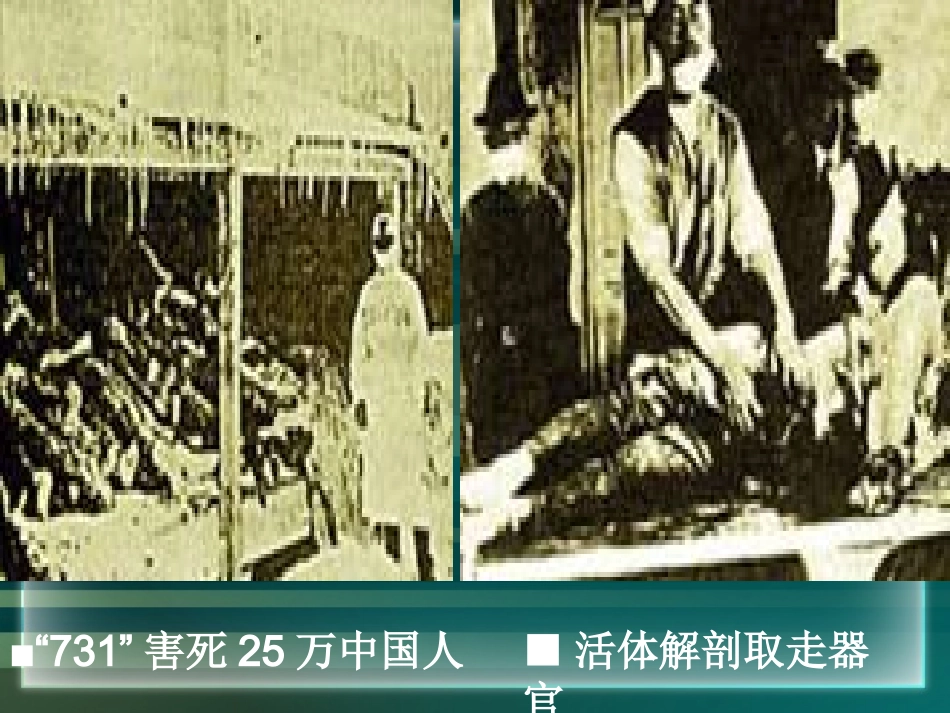 4.3-禁止生物武器_第3页