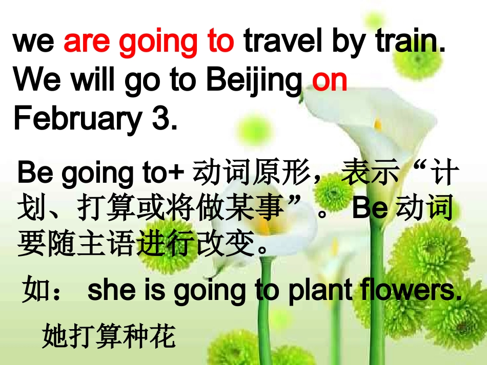 Lesson17TheTravelPlan_第3页