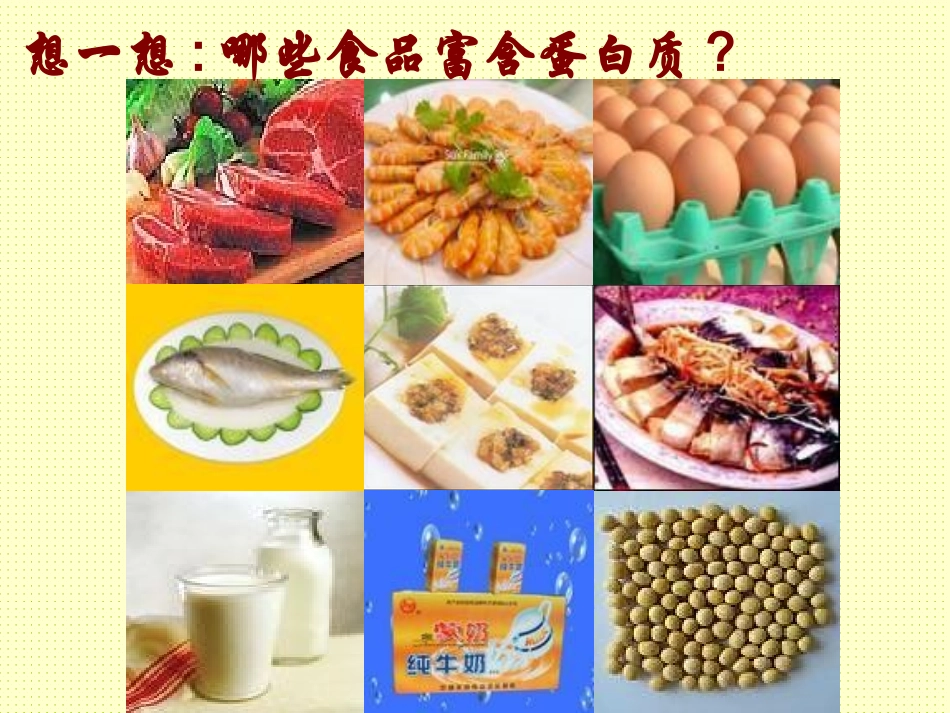 2.2生命的承担者-蛋白质_第3页