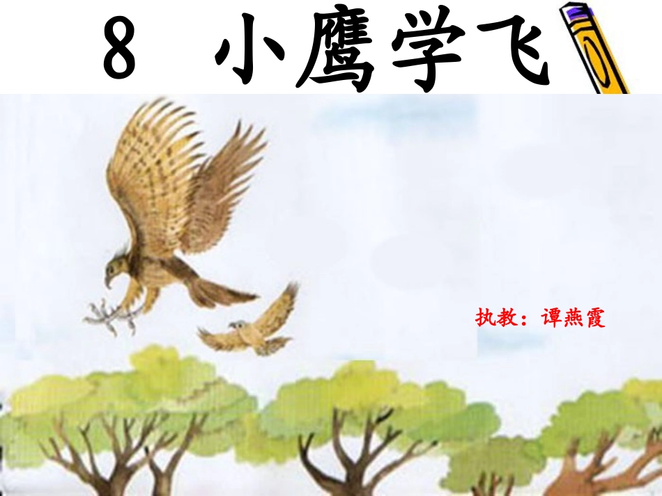 小鹰学飞(上课)_第1页