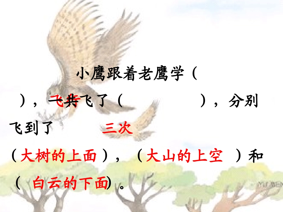 小鹰学飞(上课)_第3页