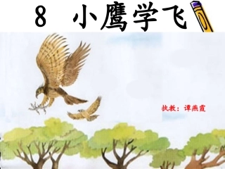 小鹰学飞(上课)