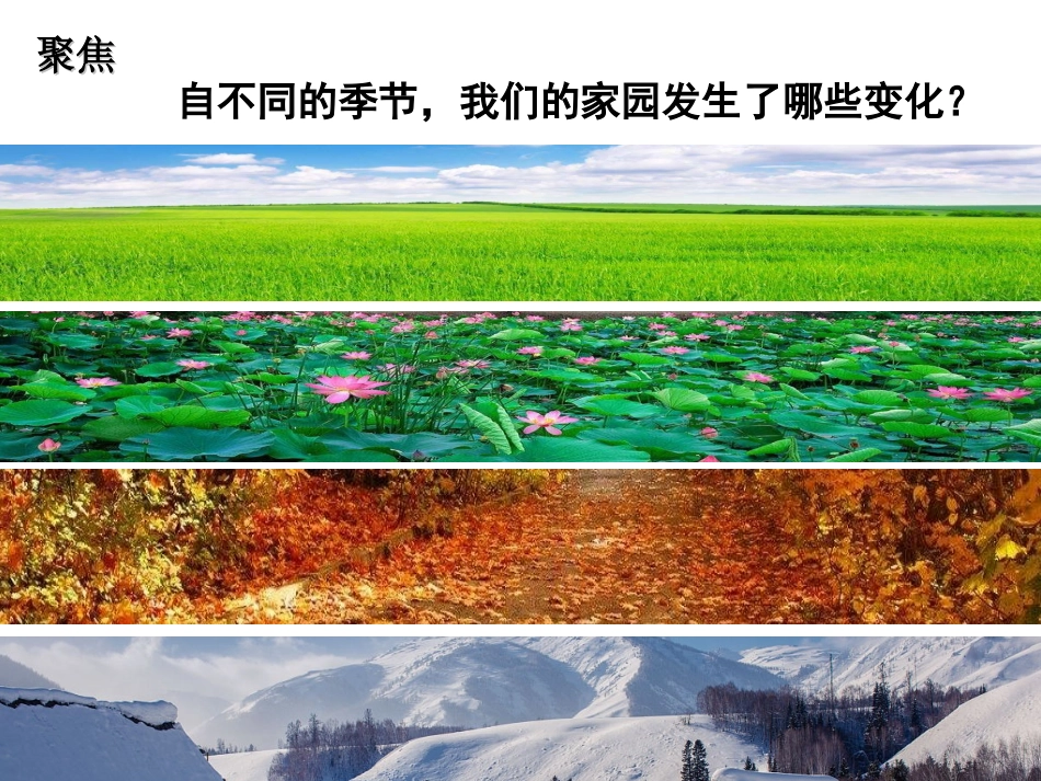 教科版二年级上册1.6不同的季节_第3页