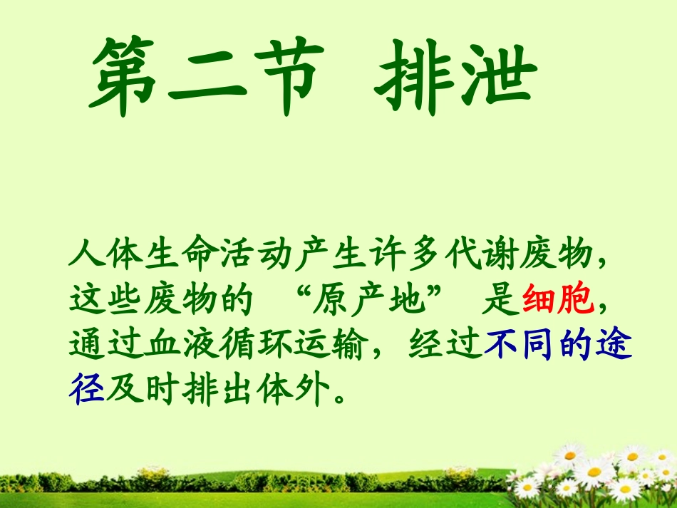 七年级生物下册-排泄课件-冀教版_第1页
