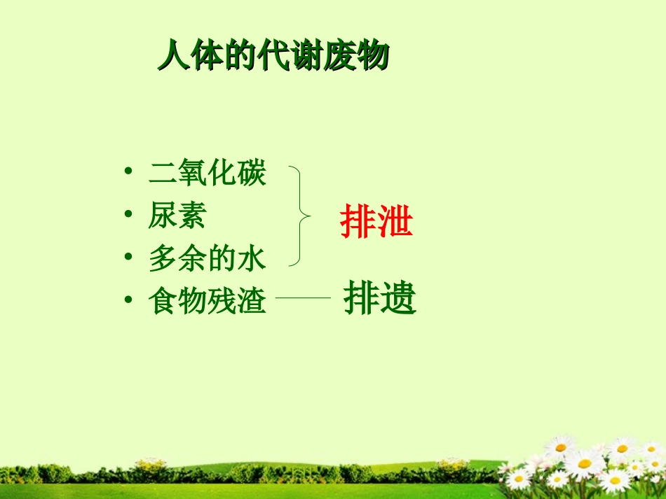 七年级生物下册-排泄课件-冀教版_第2页