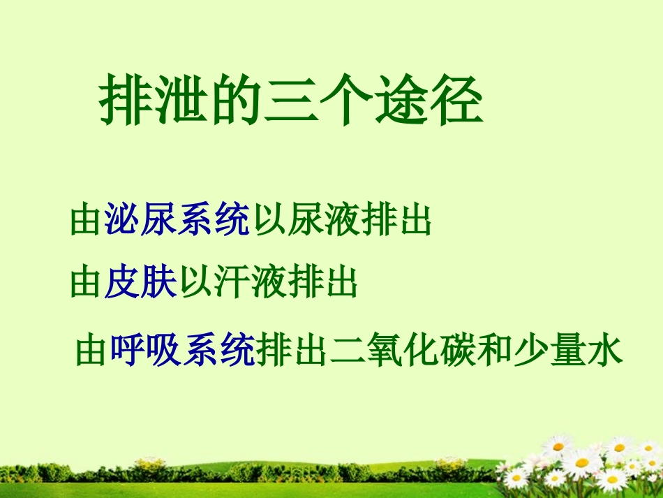 七年级生物下册-排泄课件-冀教版_第3页