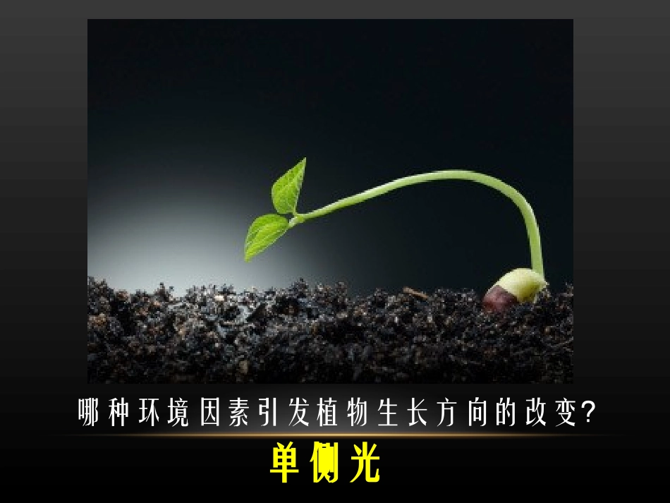 1.生长素的发现_第2页