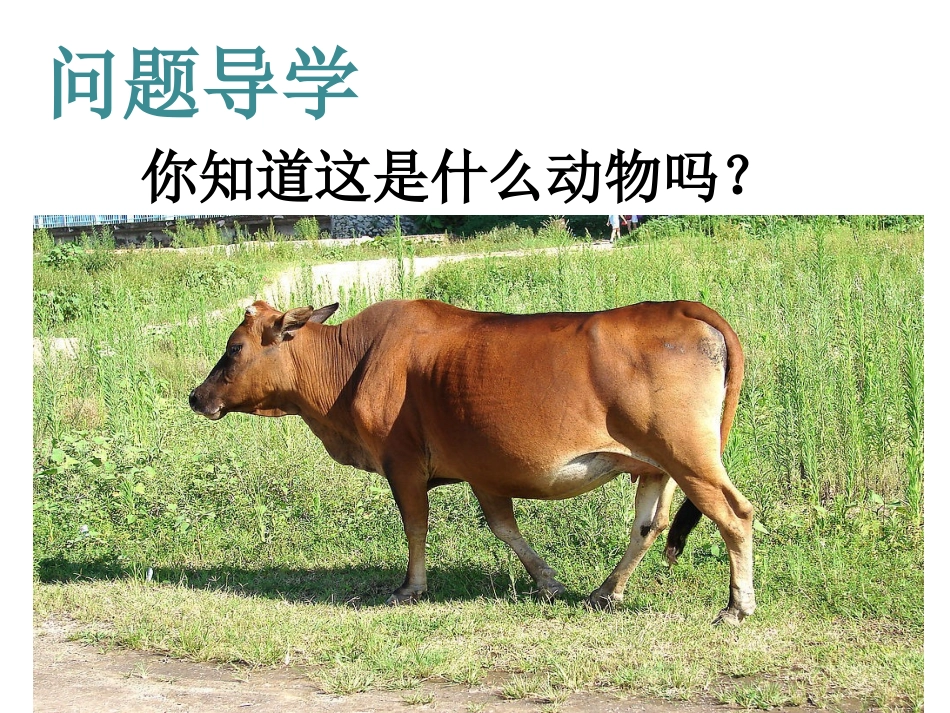 《所见》课件2_第2页