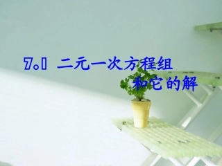 课件-7[1][1].1二元一次方程组和它的解课件(华师版七下)