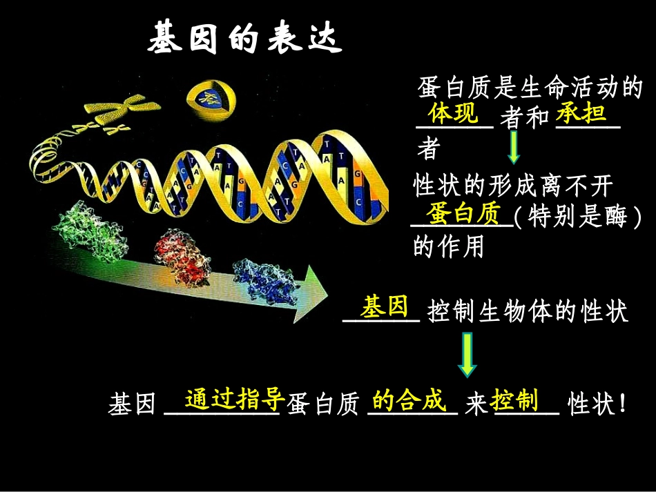 遗传信息的转录和翻译_第1页