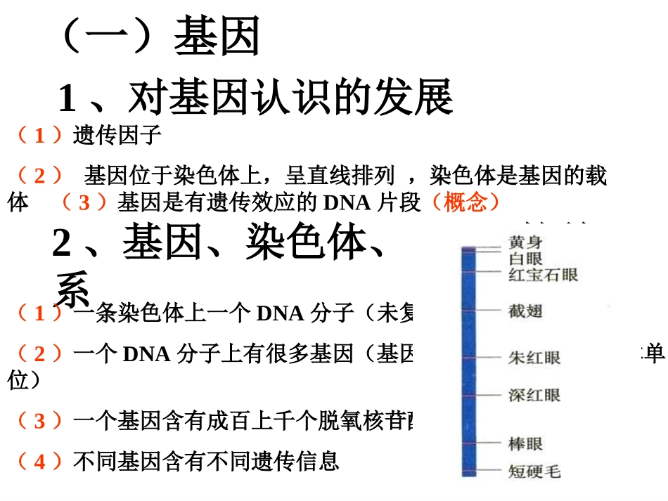 遗传信息的转录和翻译_第2页