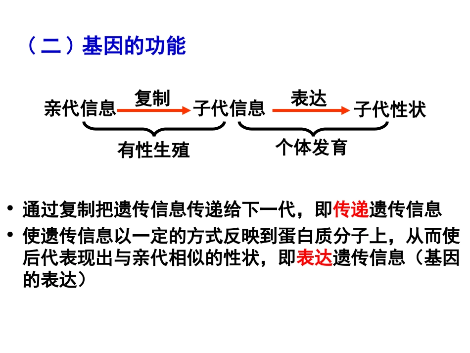 遗传信息的转录和翻译_第3页