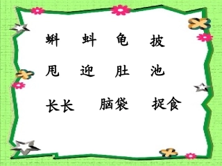 小蝌蚪找妈妈-课件