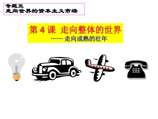 浙江省岱山县大衢中学高中历史-专题五《走向整体的世界》课件1-人民版必修2