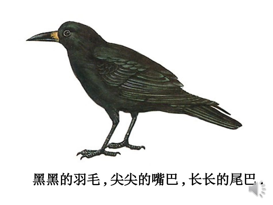 乌鸦喝水ppt_第3页