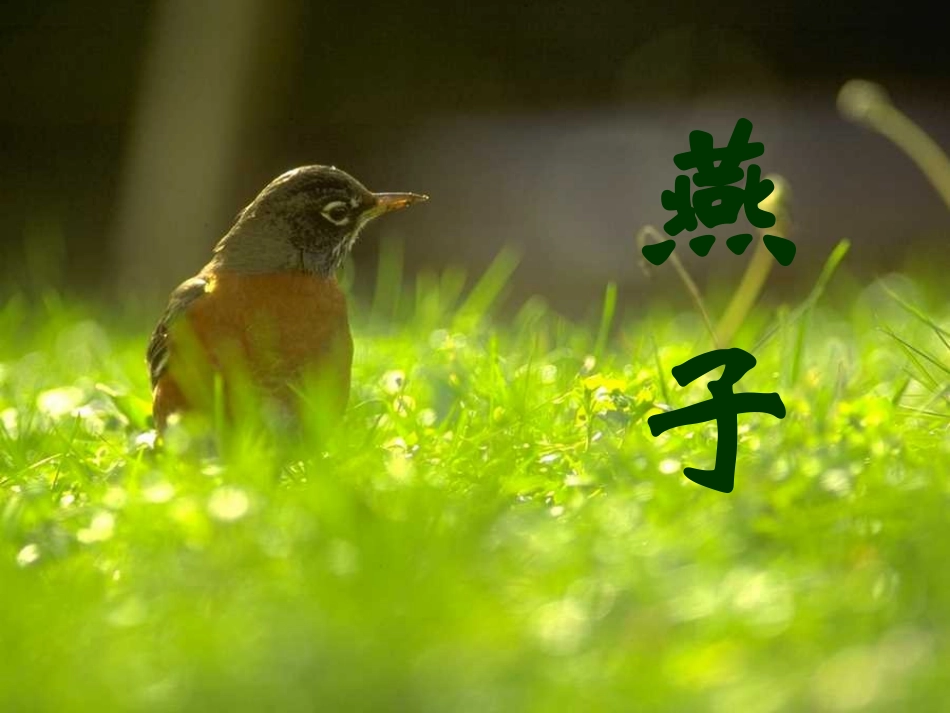 培养良好的学习习惯6_第1页