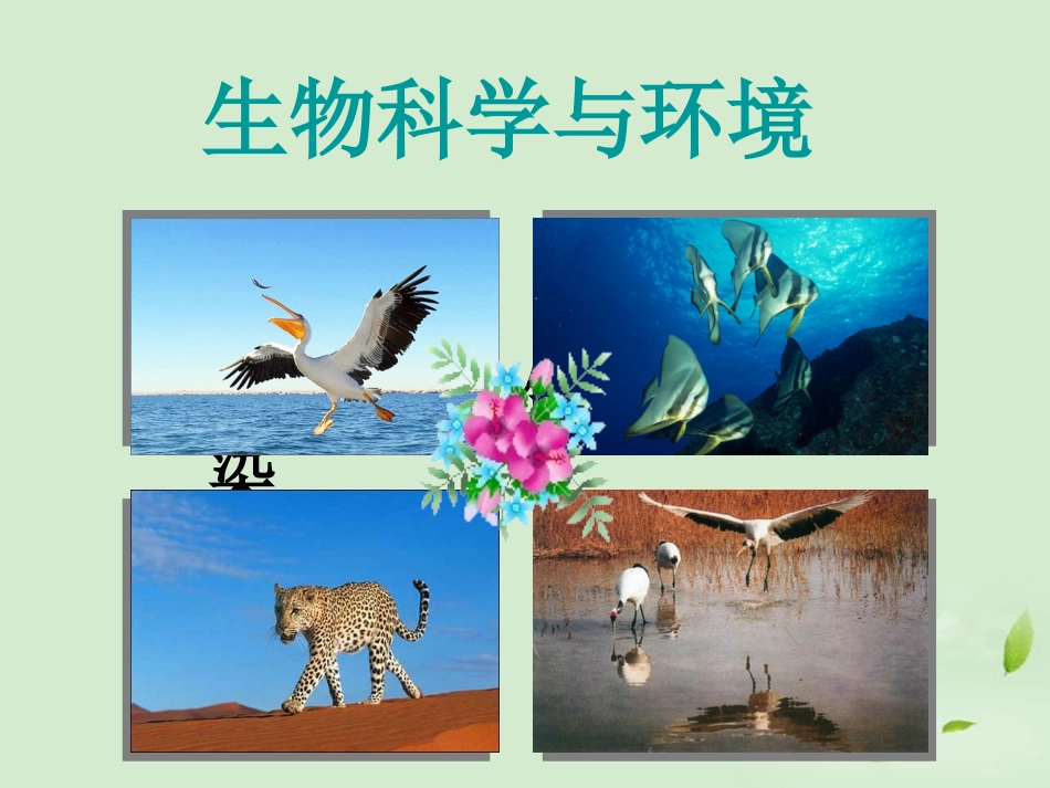 高中生物-4.1《生物性污染及其预防》课件(4)-新人教版选修2_第1页