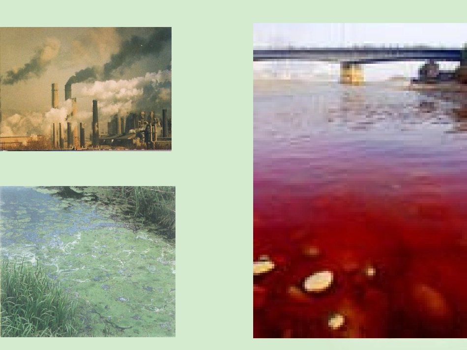 高中生物-4.1《生物性污染及其预防》课件(4)-新人教版选修2_第2页