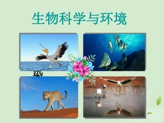 高中生物-4.1《生物性污染及其预防》课件(4)-新人教版选修2