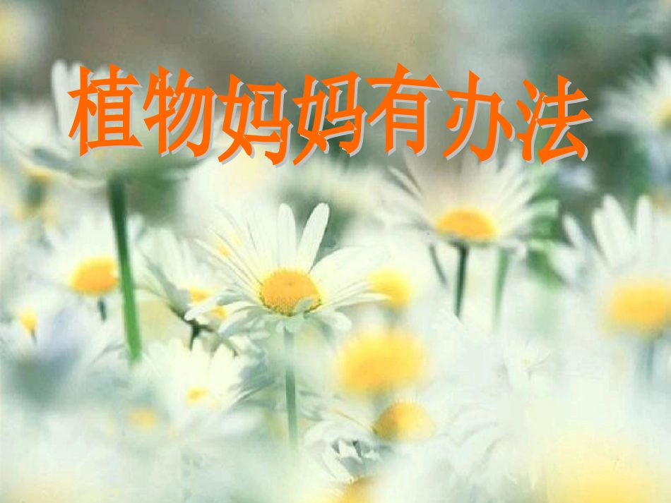 《植物妈妈有办法》PPT课件_第1页