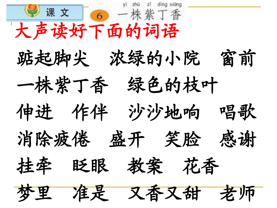 6一株紫丁香_第3页