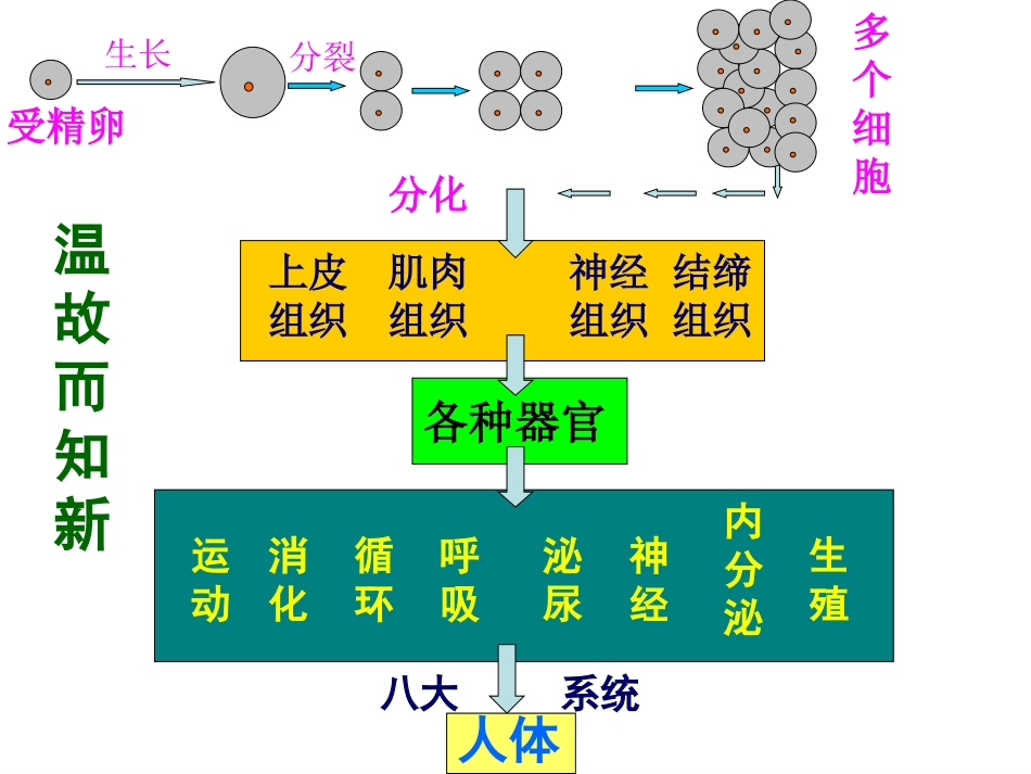 植物体的结构层次_第2页