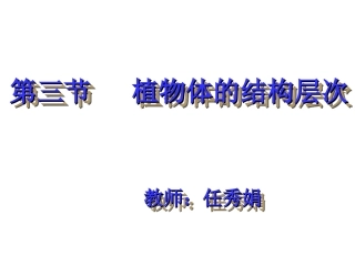 植物体的结构层次