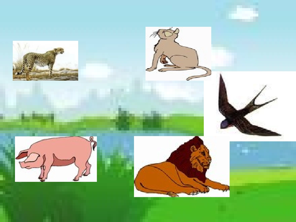 七年级语文上册-第五单元第20课：《如果人类也有尾巴》课件-语文版_第2页