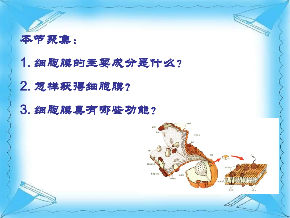 第一节细胞膜的结构与功能_第3页