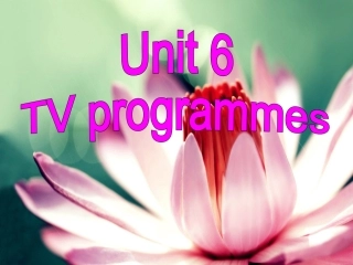 9AUnit6TVprogrammes复习课件(共69张PPT)