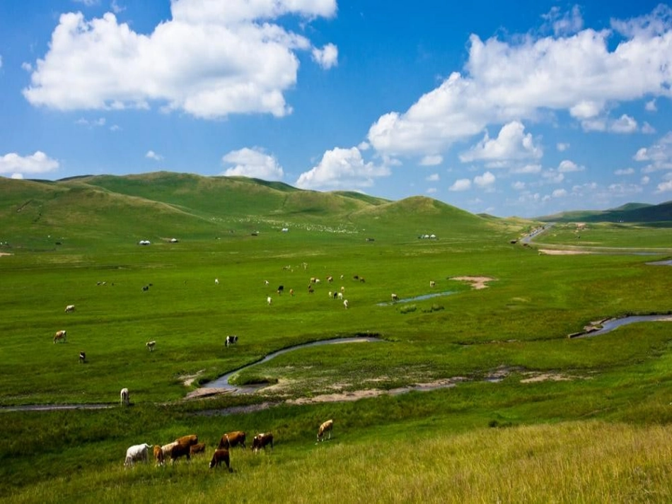 欣赏-草原放牧_第2页