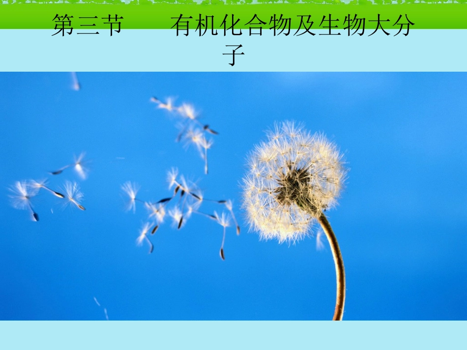 高中生物《有机化合物与生物大分子》课件4-浙科版必修1_第1页