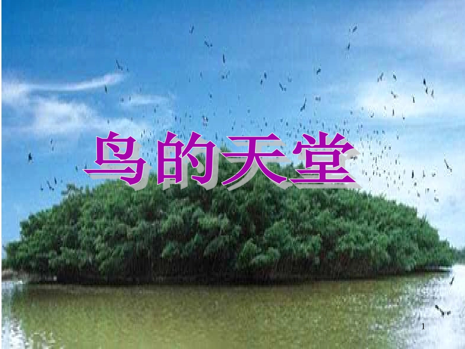 人教版四年级语文上册《鸟的天堂》PPT课件_第1页