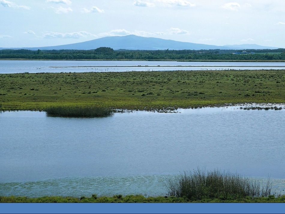 人教2011版小学数学三年级加法-(5)_第2页