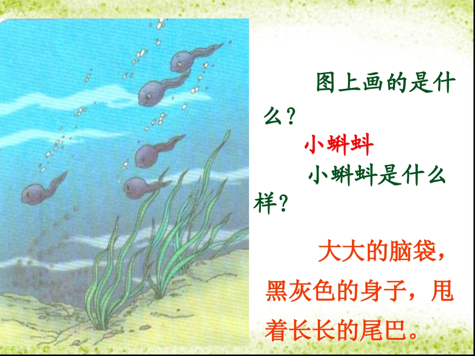 《小蝌蚪找妈妈》问题解答_第2页