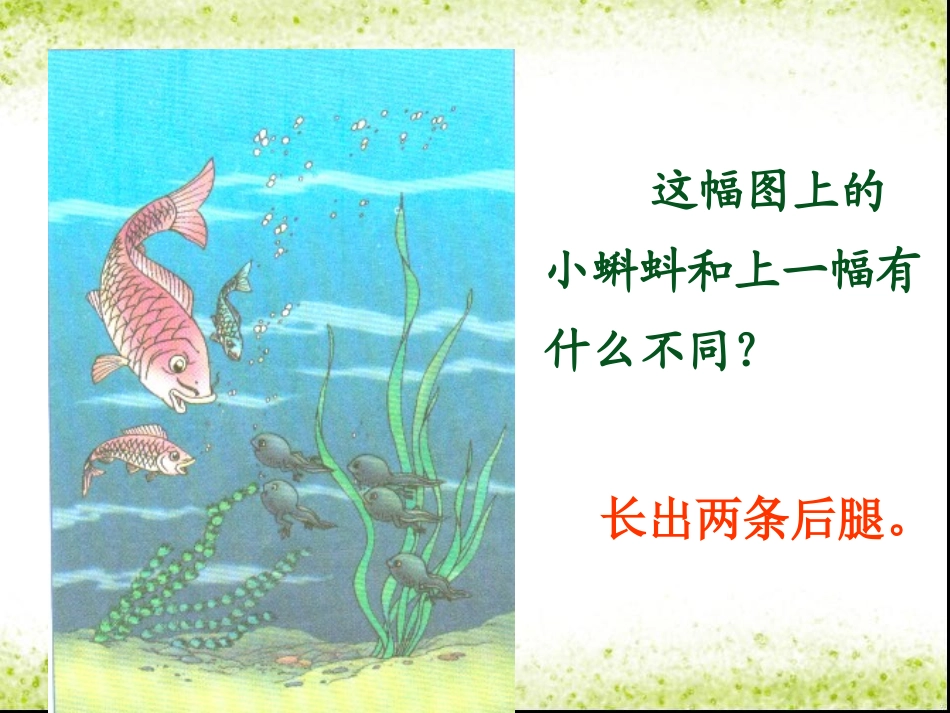 《小蝌蚪找妈妈》问题解答_第3页