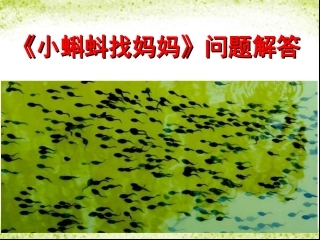 《小蝌蚪找妈妈》问题解答